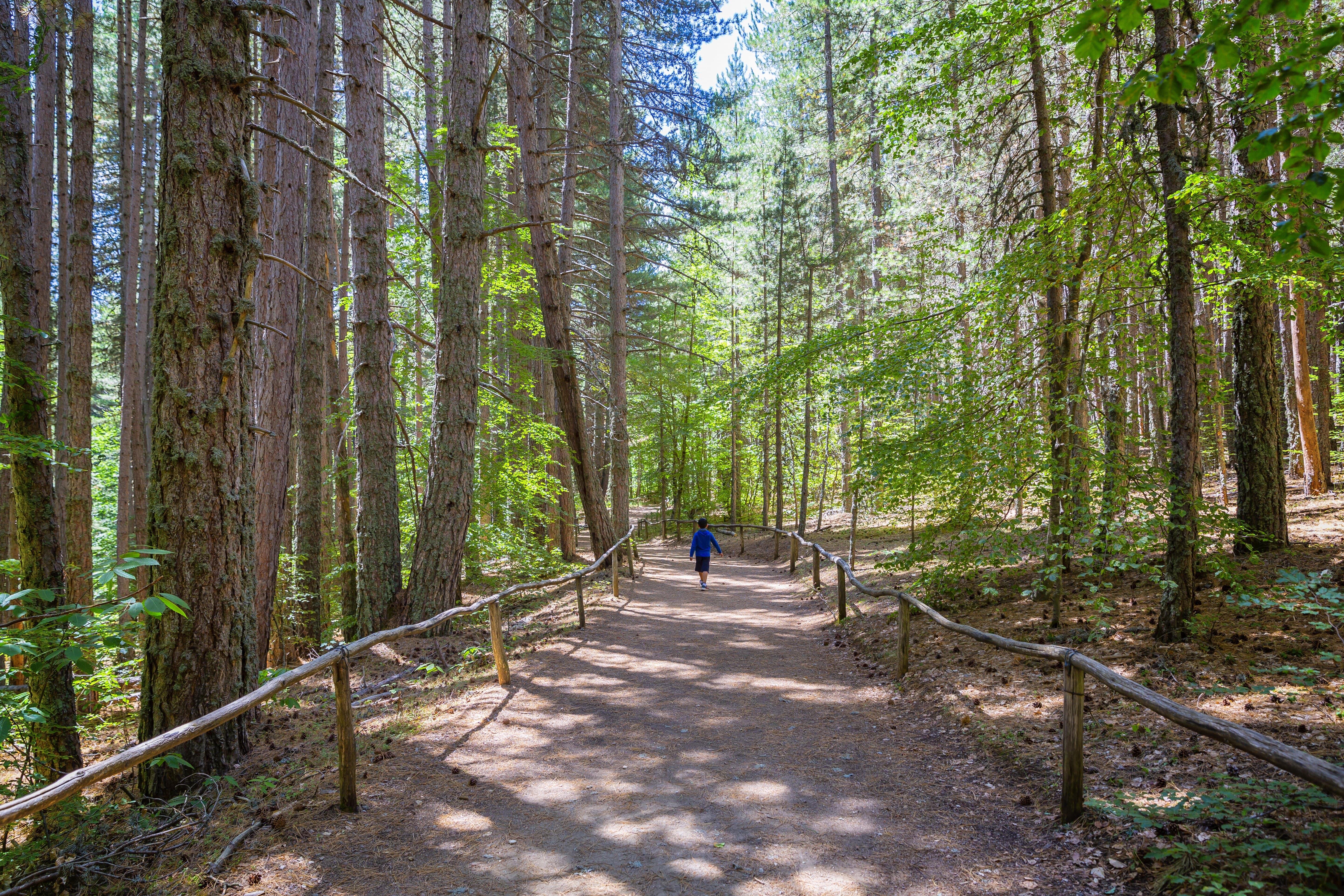 Sila National Park