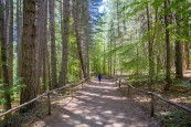 Sila National Park